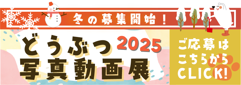 どうぶつ写真・動画展 募集フォーム