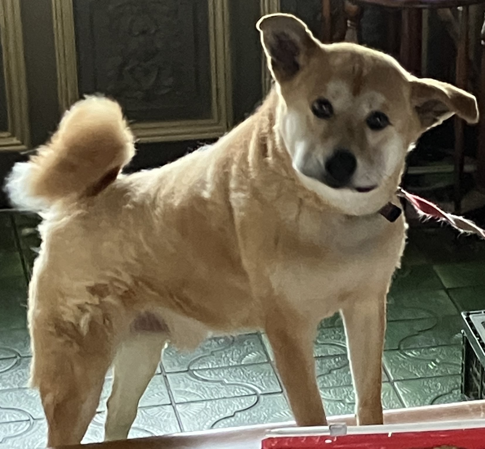 No.6R-6-6　ヒロくん