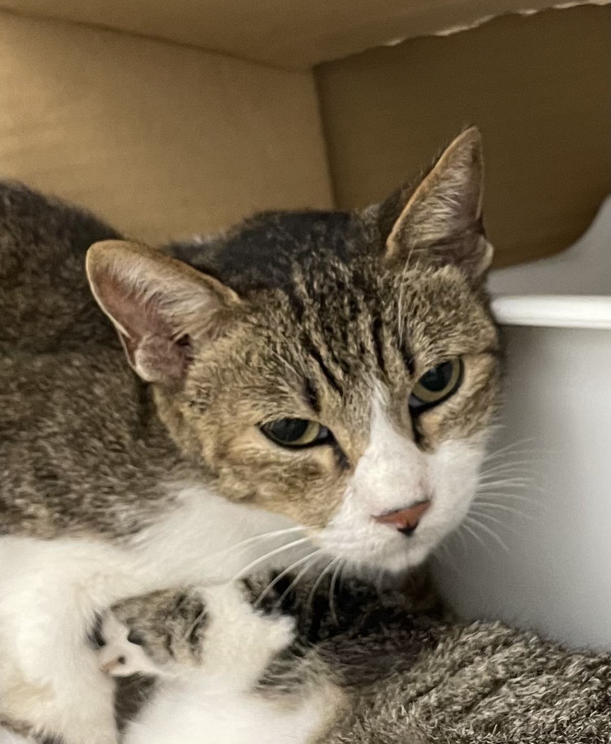 FC24320（浜住大）