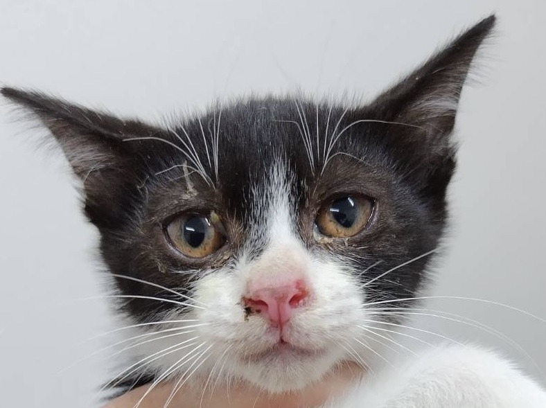 SC25202（金ヶ崎）