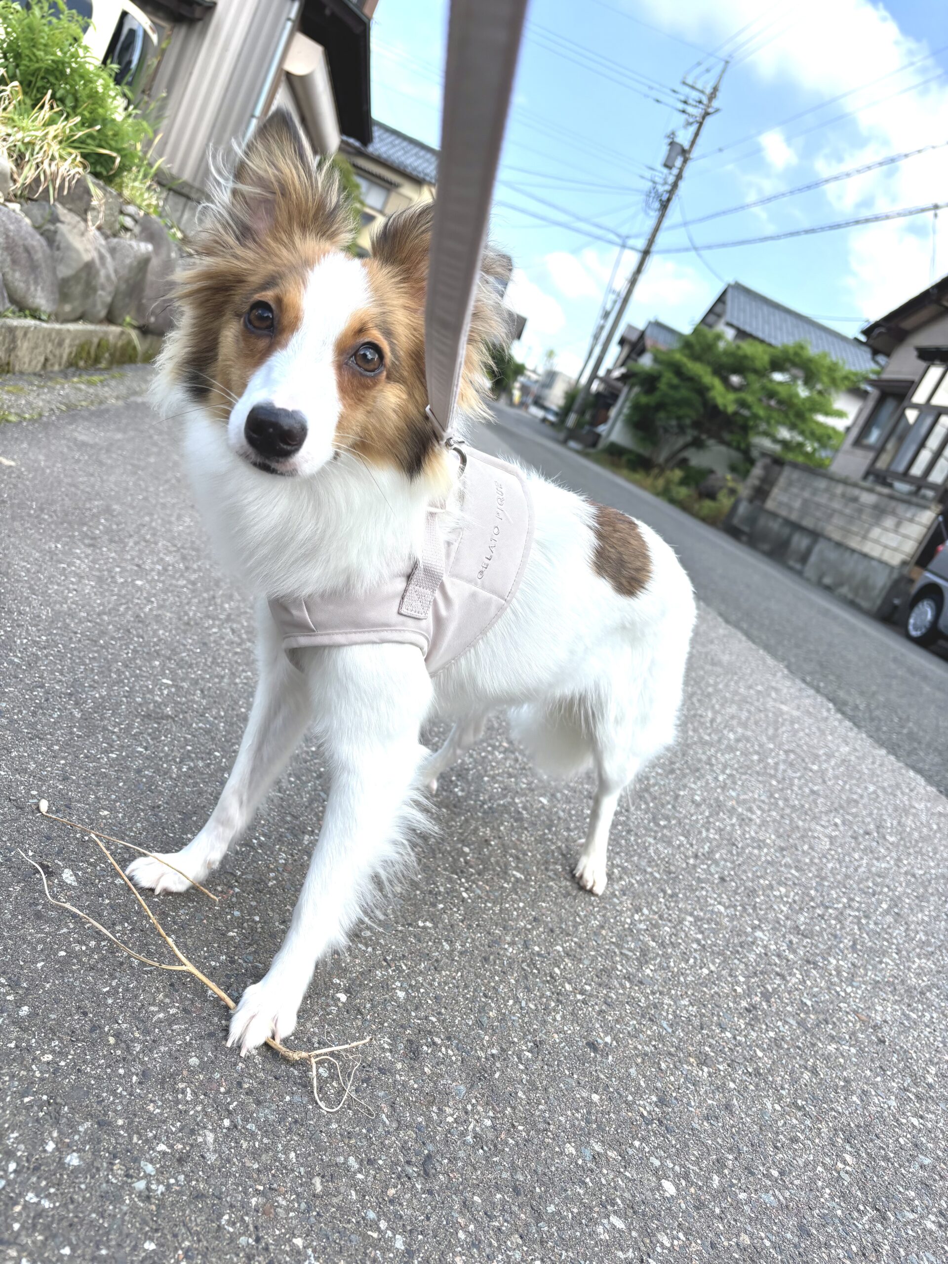 No.7T-8-8①