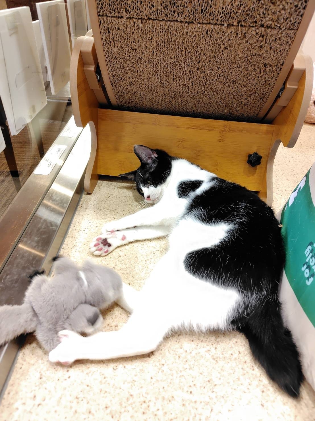 HC25145 (運動公園)