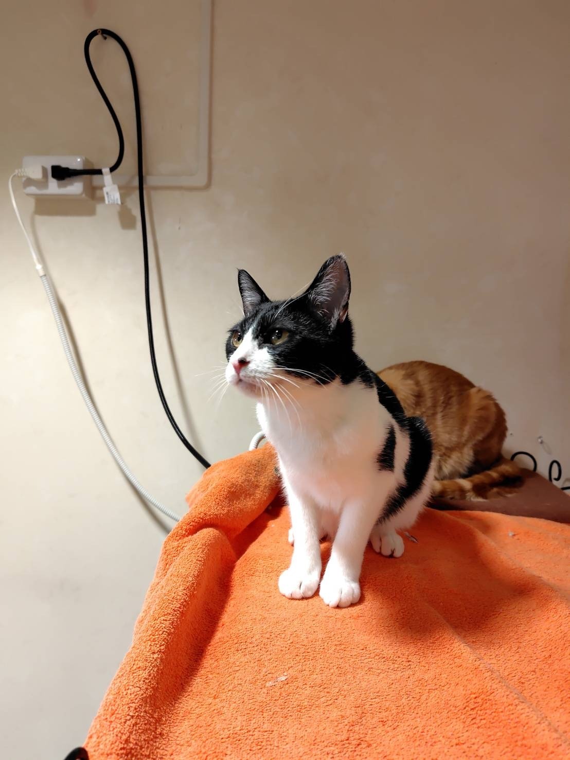 HC25145 (運動公園)