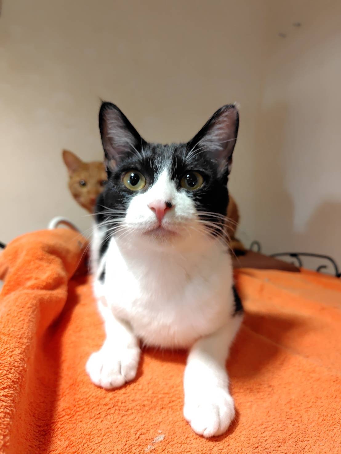 HC25145 (運動公園)