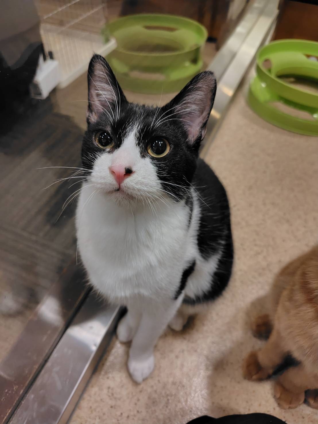 HC25145 (運動公園)