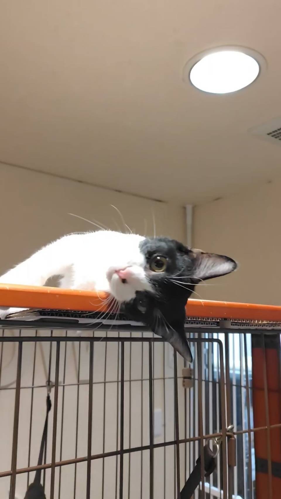 HC25145 (運動公園)