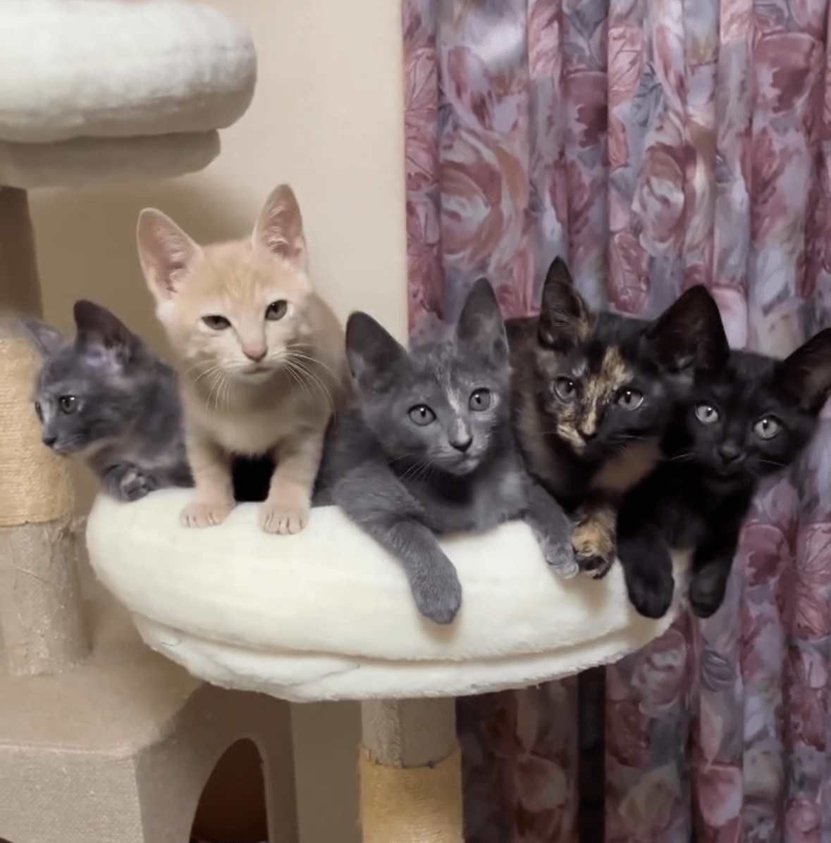 HC25278～25282(柳町2)★