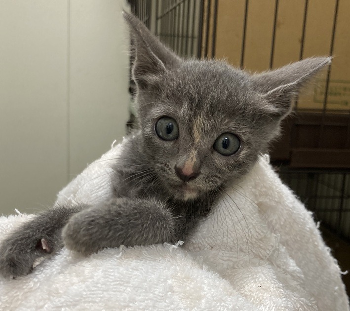 HC25278～25282(柳町2)★