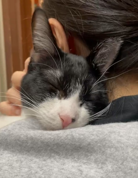 HC25145 (運動公園)