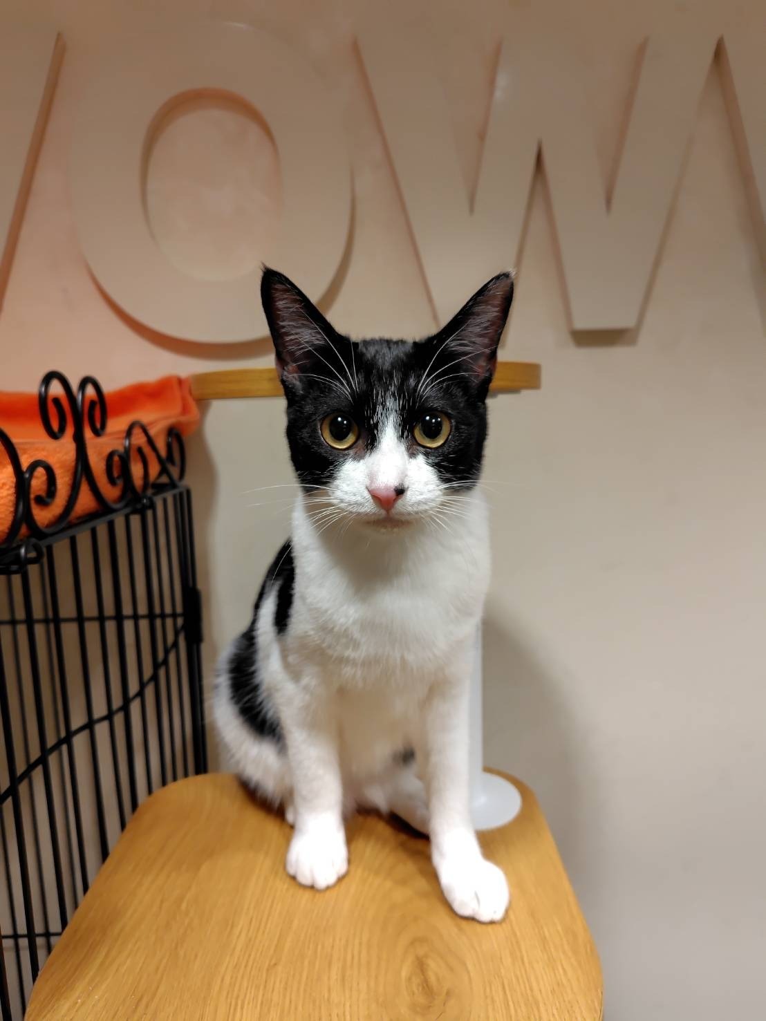 HC25145 (運動公園)