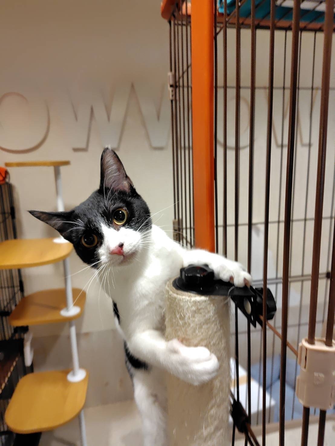 HC25145 (運動公園)