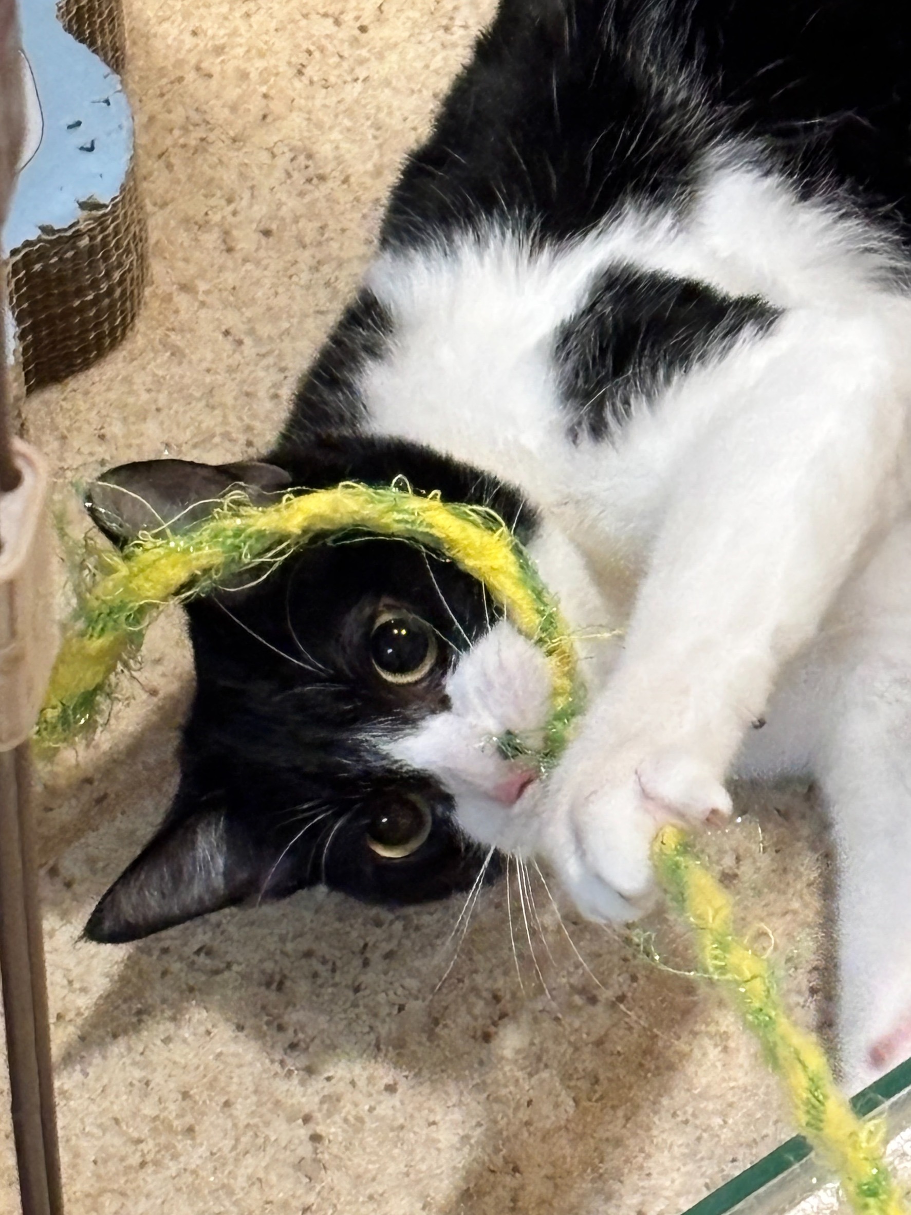 HC25145 (運動公園)