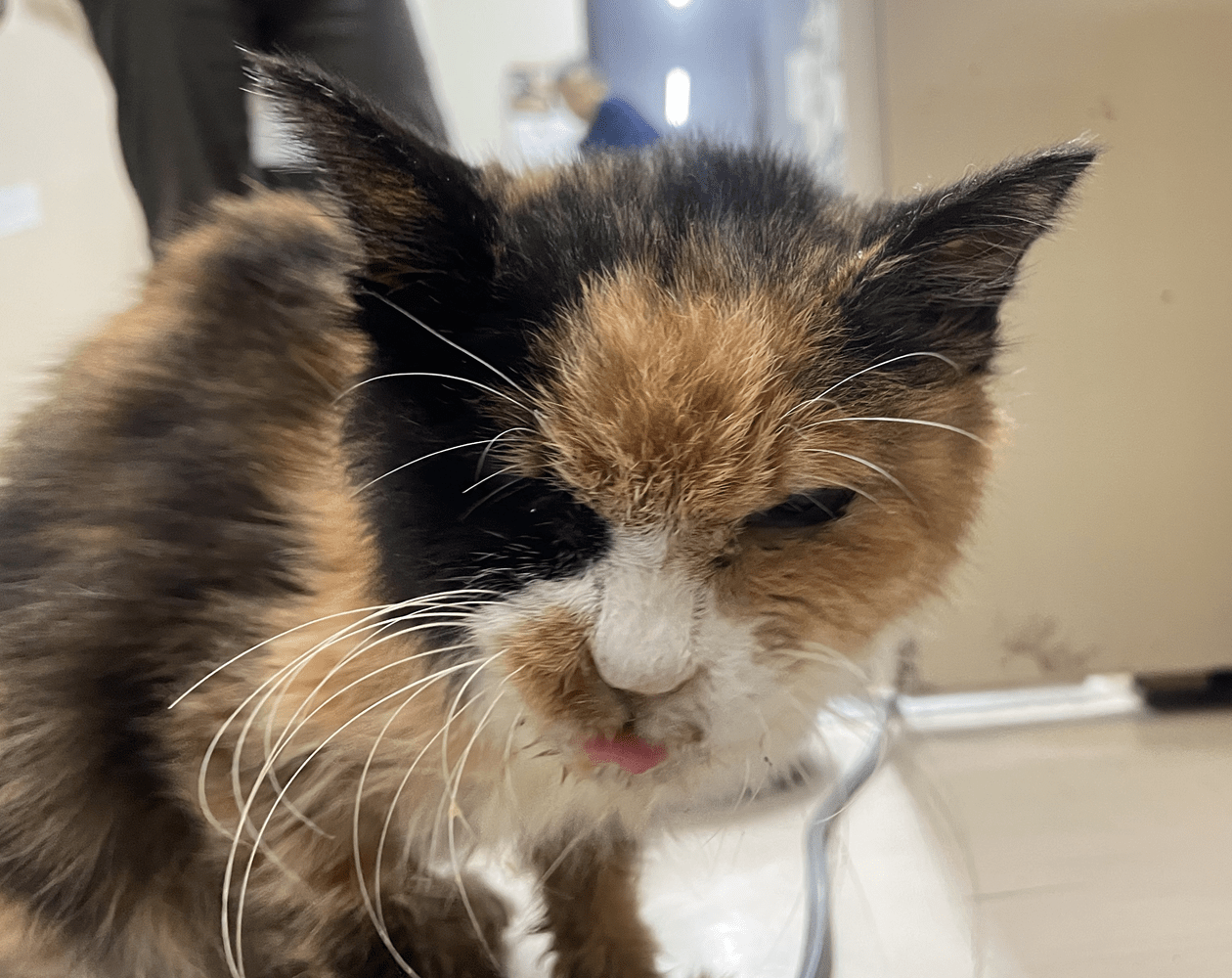 FC25401（福井市）