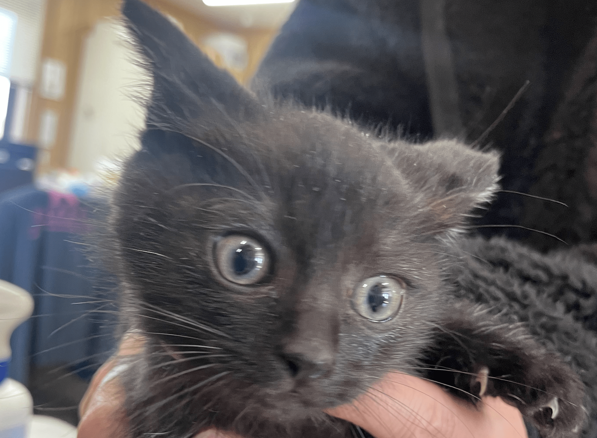 HC25397.25398（南越前町）