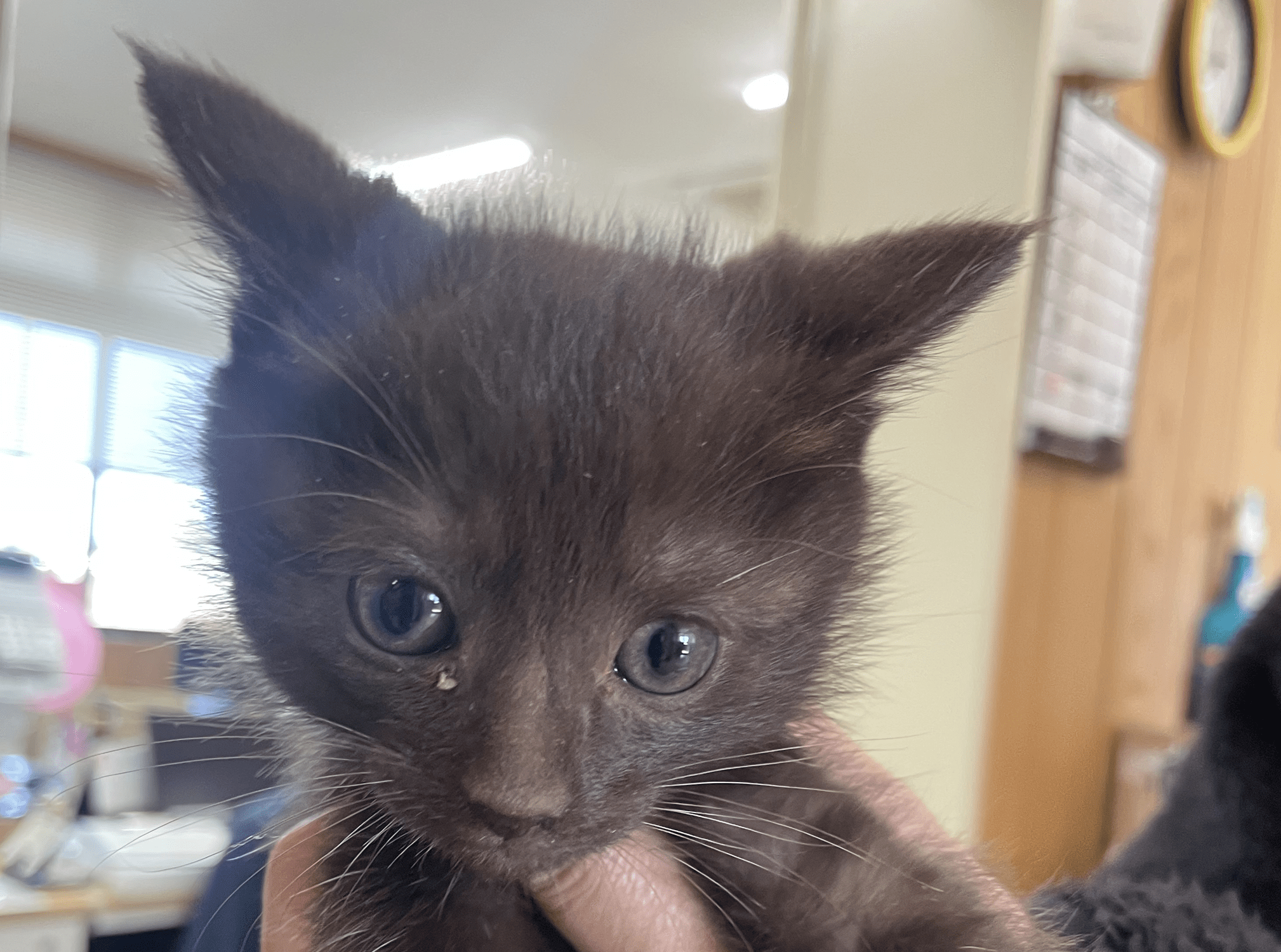 HC25397.25398（南越前町）