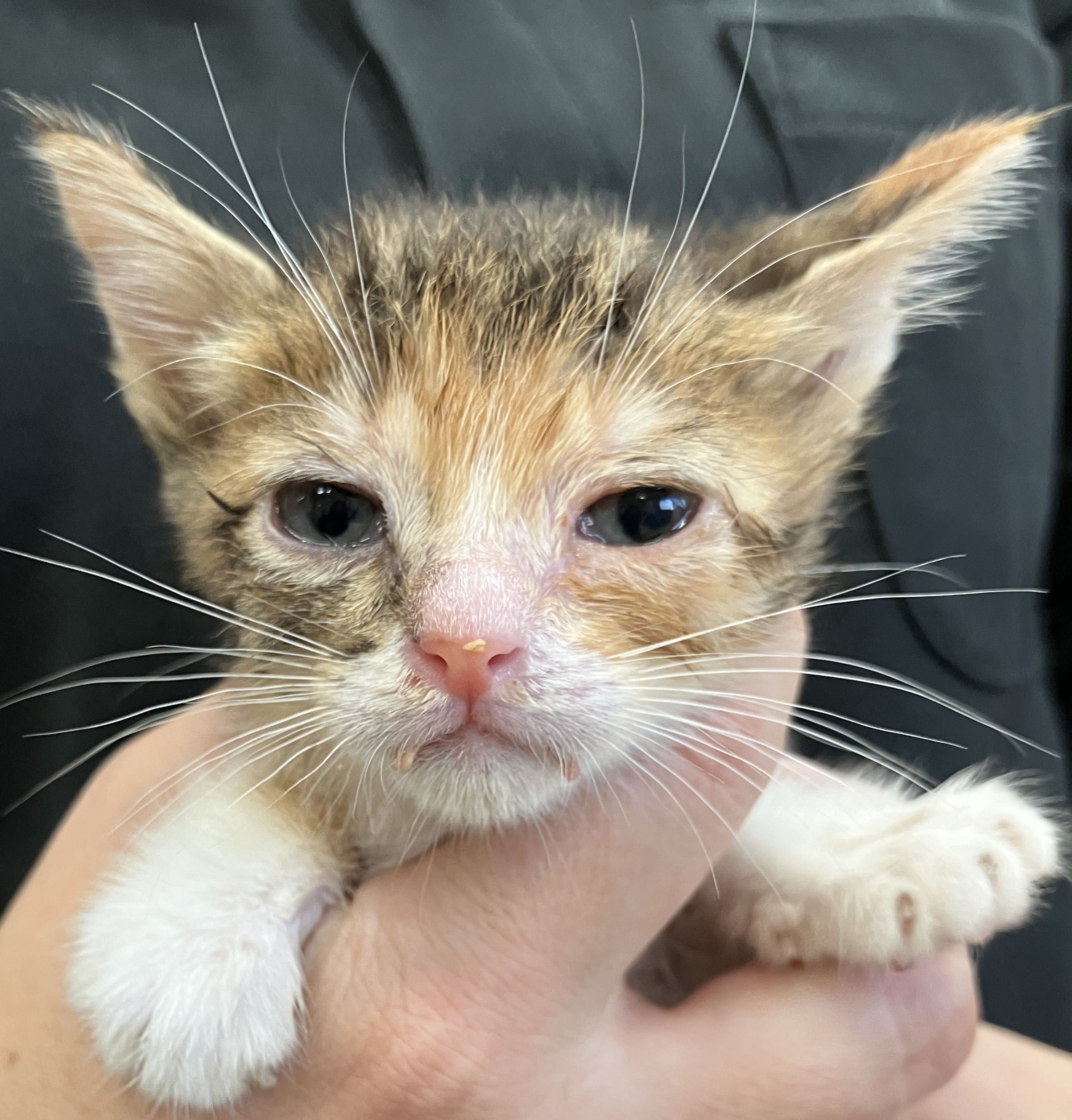 SC25389（敦賀市）