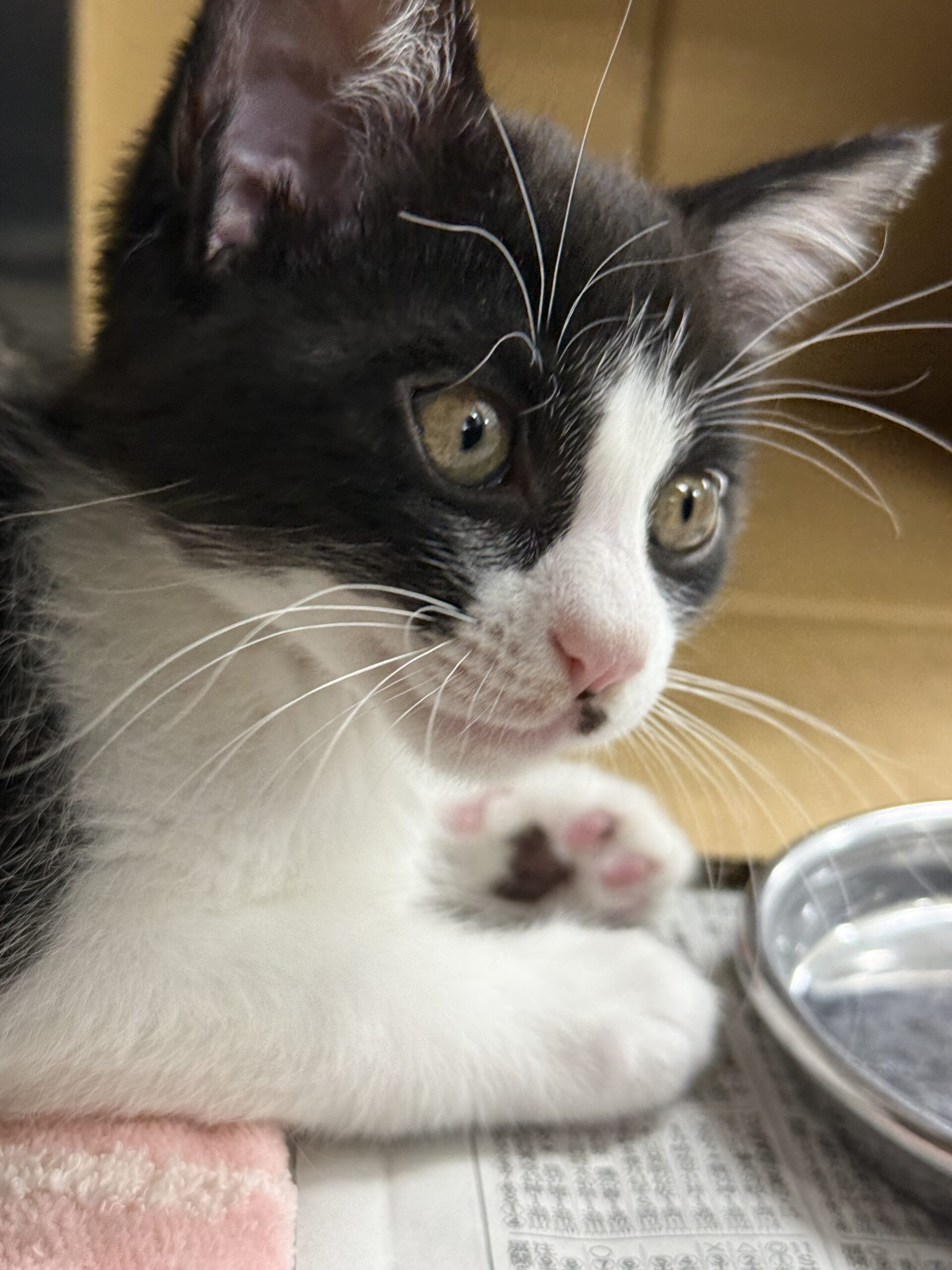 HC25345(北府).HC25355(気比庄)