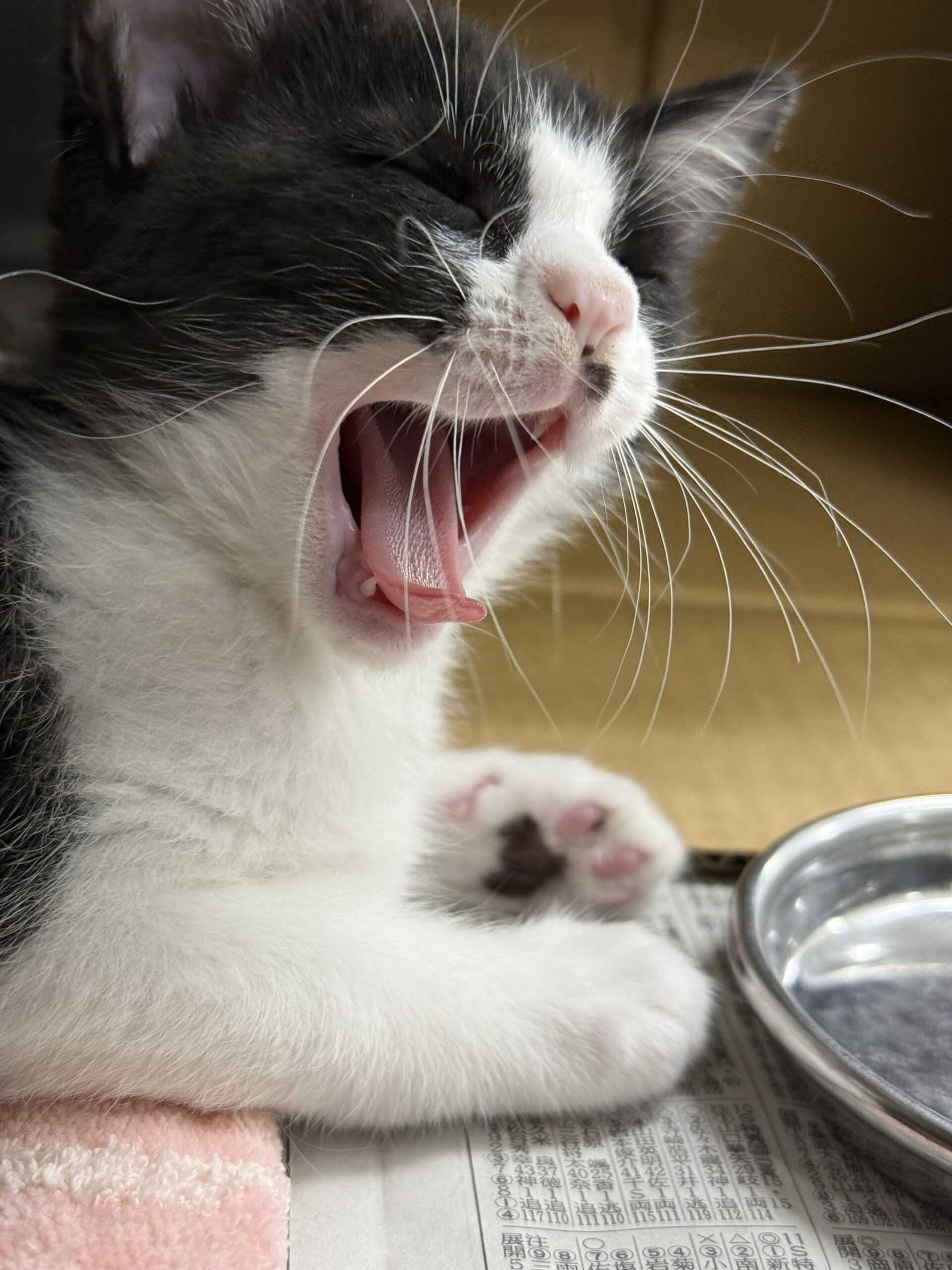 HC25345(北府).HC25355(気比庄)