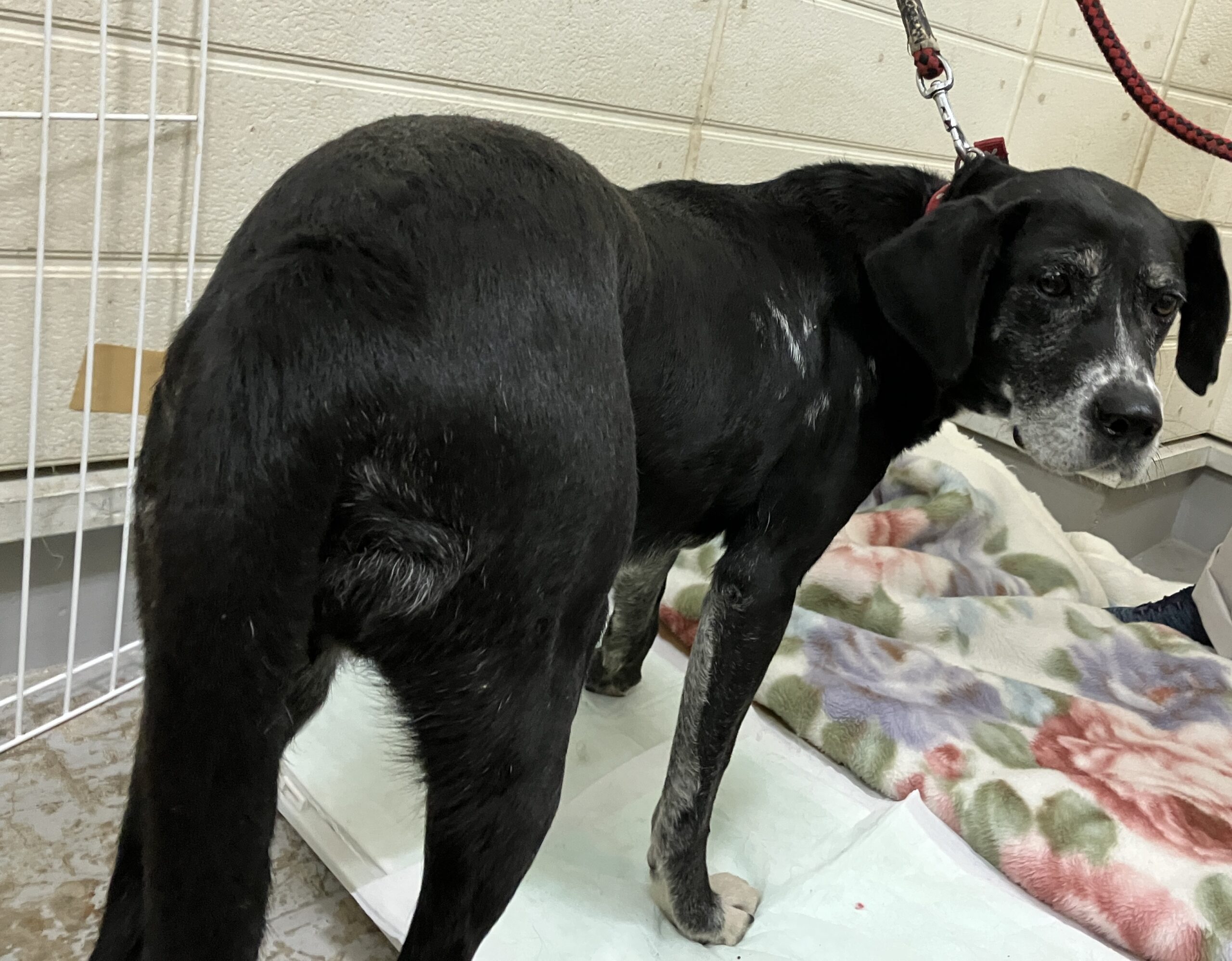 SD25421（おおい町）