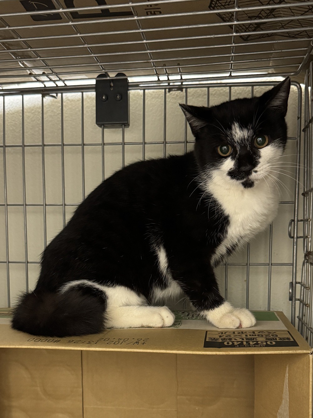 FC25426.25427（福井市）