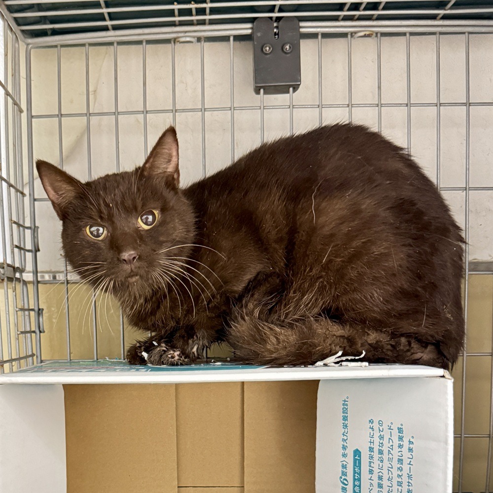 FC25426.25427（福井市）