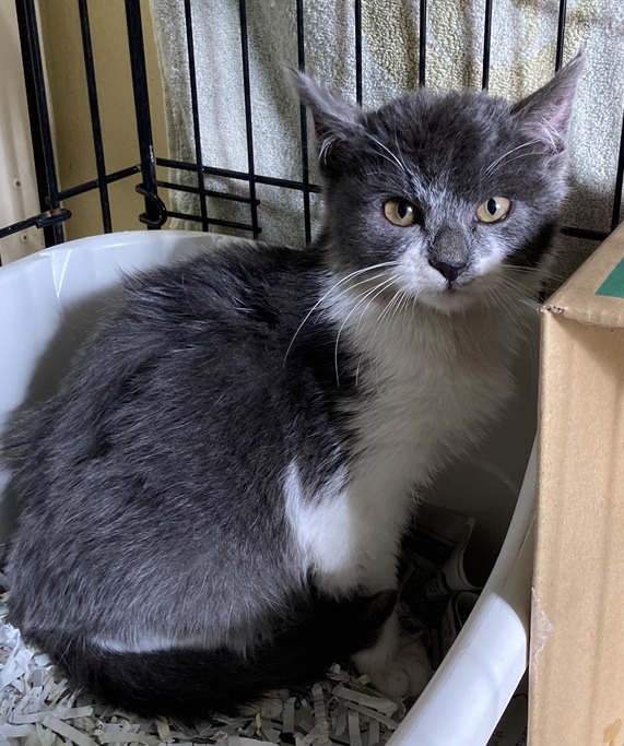 FC25431（福井市）