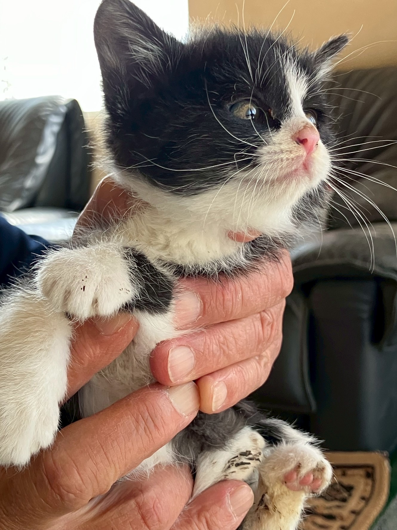 HC25410~25412(不動堂)