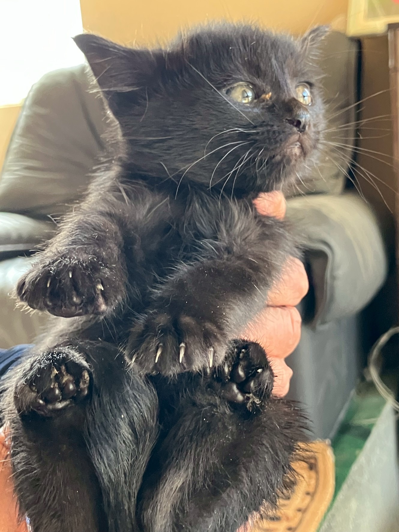 HC25410~25412(不動堂)