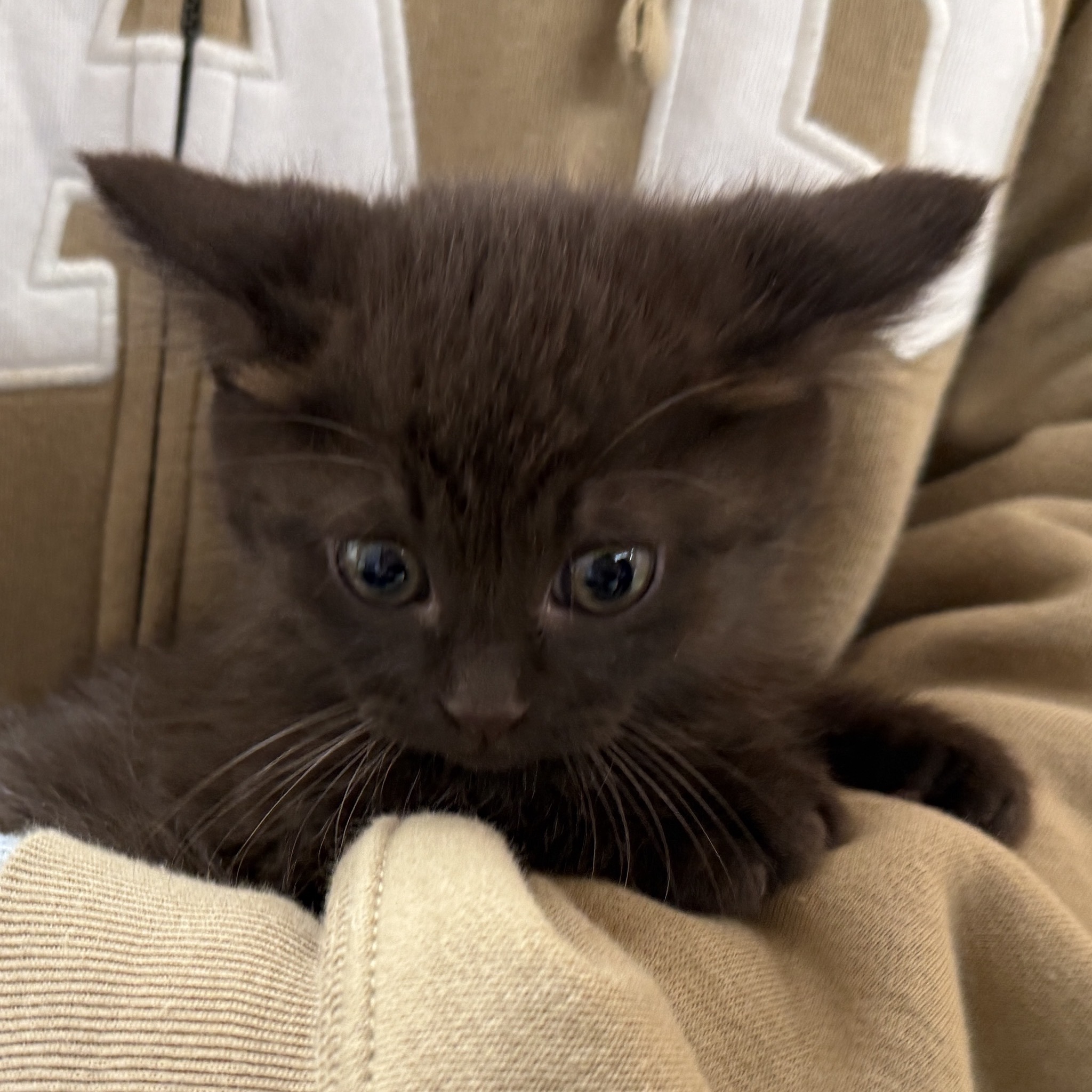 HC25415・25416（坂井市）