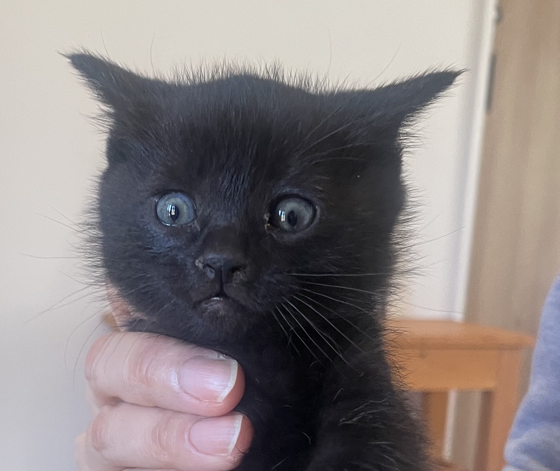 HC25418～25420（鯖江市）