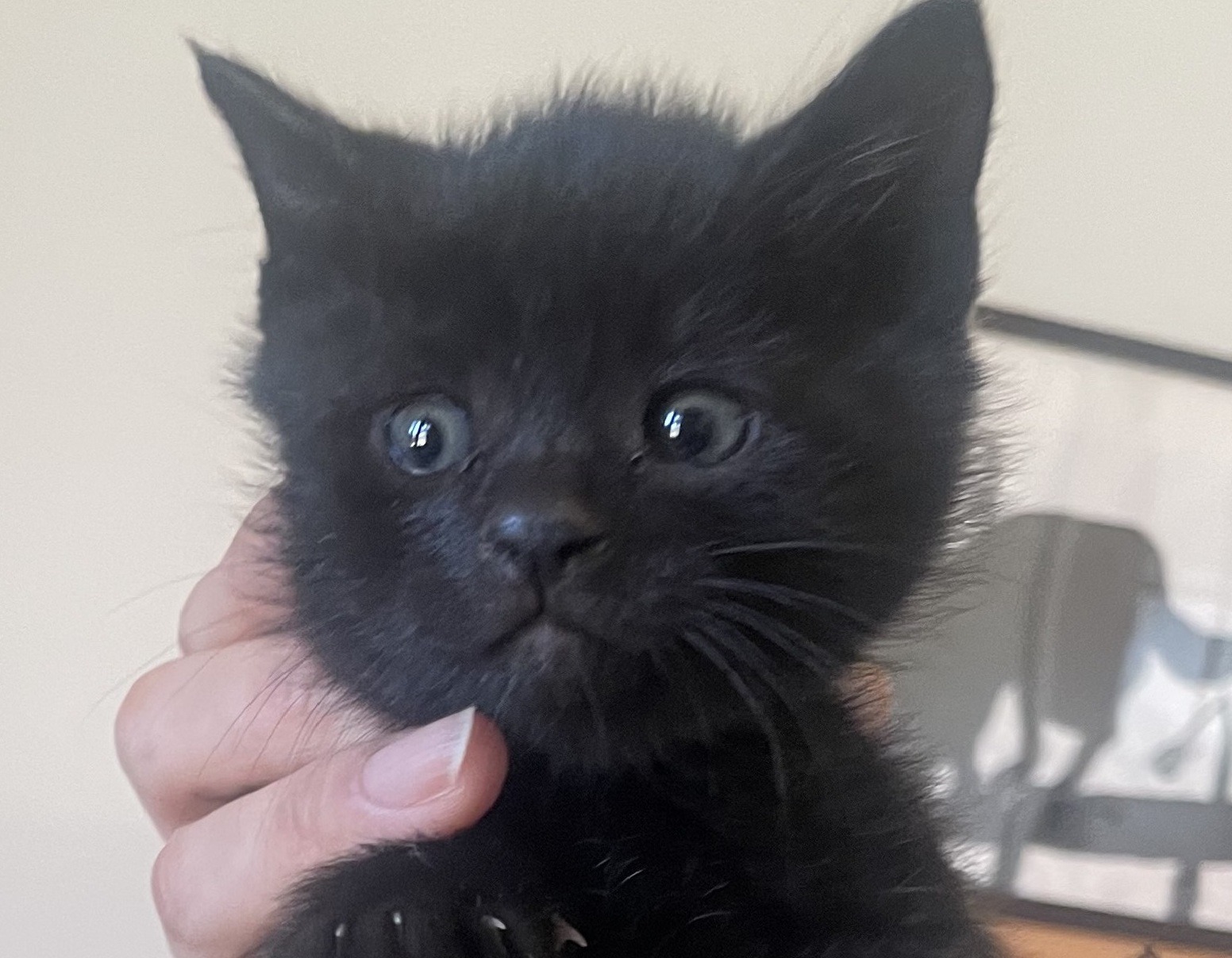 HC25418～25420（鯖江市）