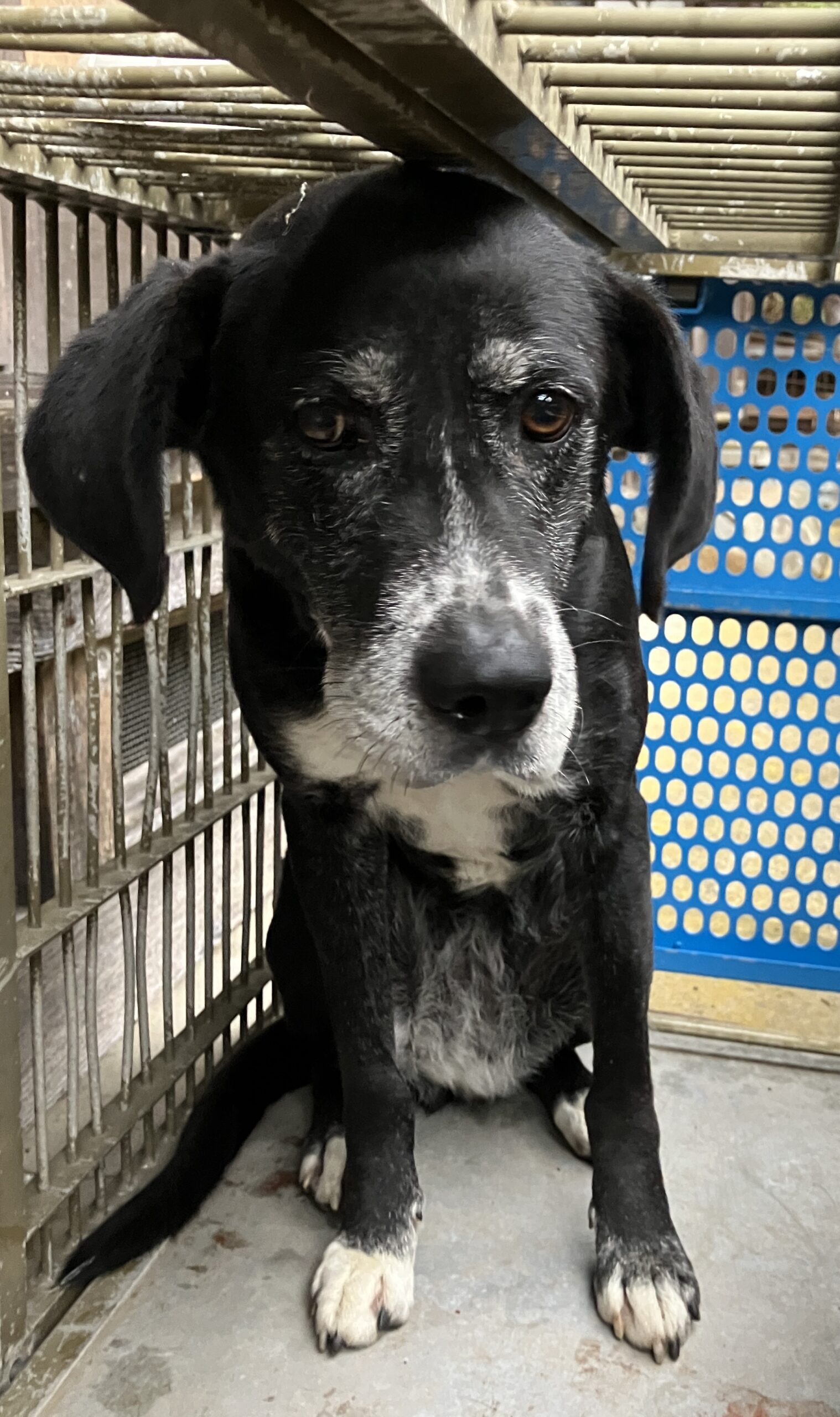 SD25421（おおい町）