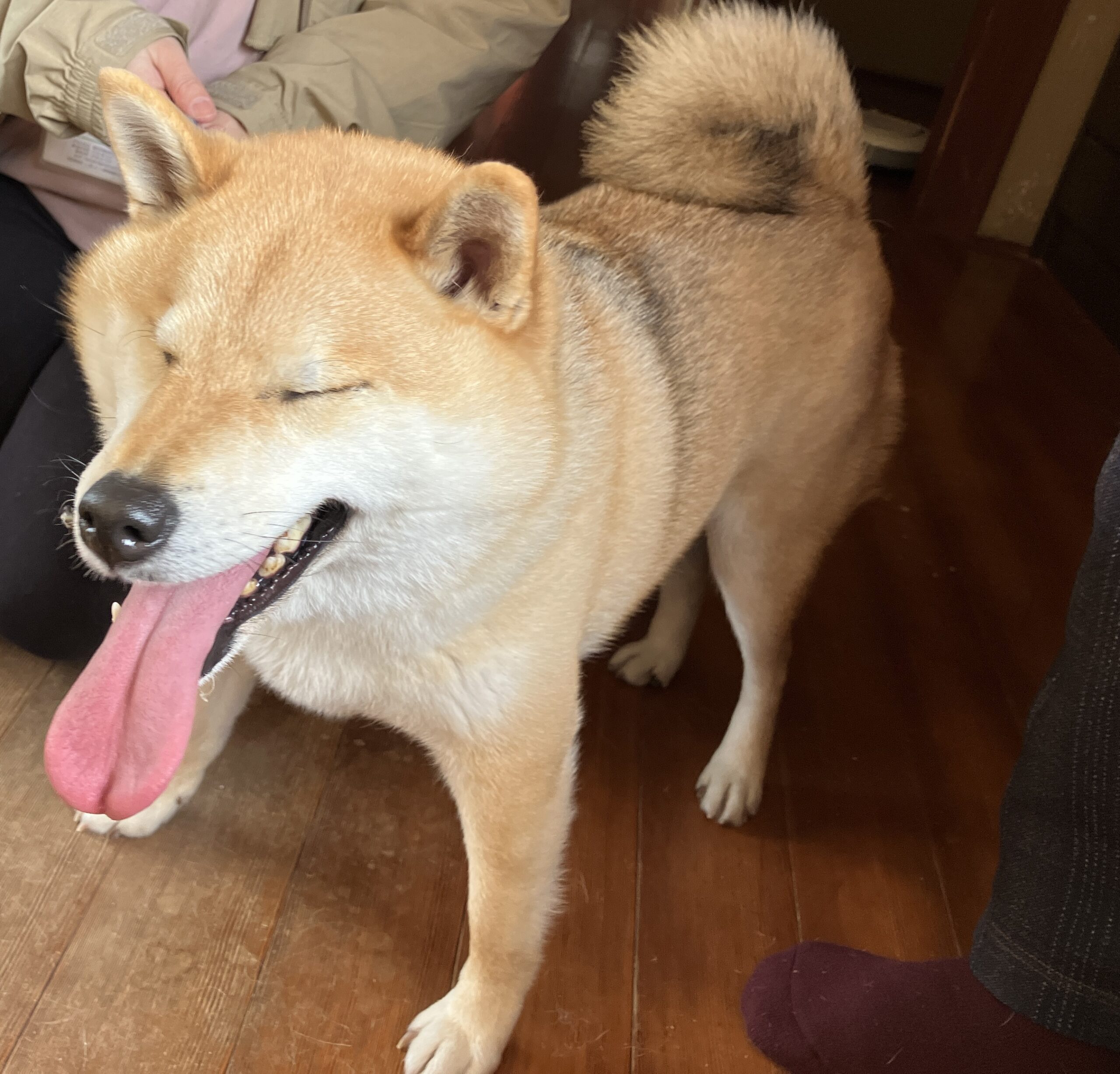 No.8T-2-10　マルちゃん