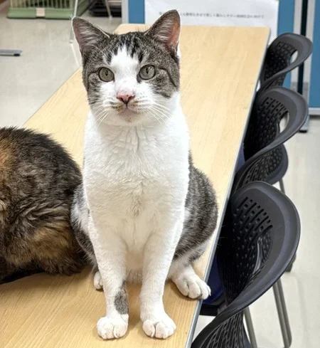 FC25447(西大味ふっくん)