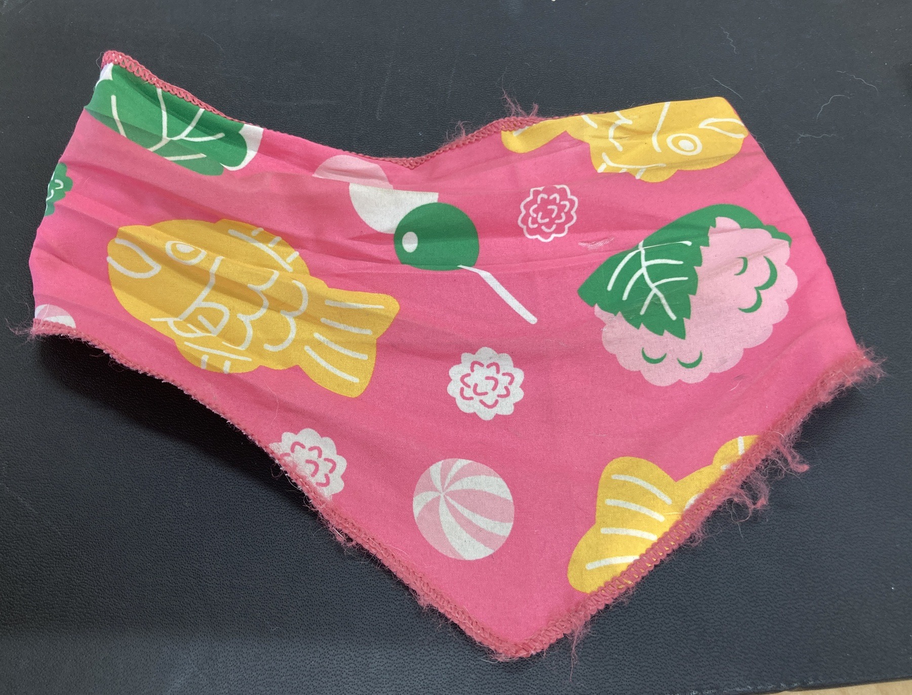 HD25454（あわら市）首輪とバンダナのついた犬を保護しています！