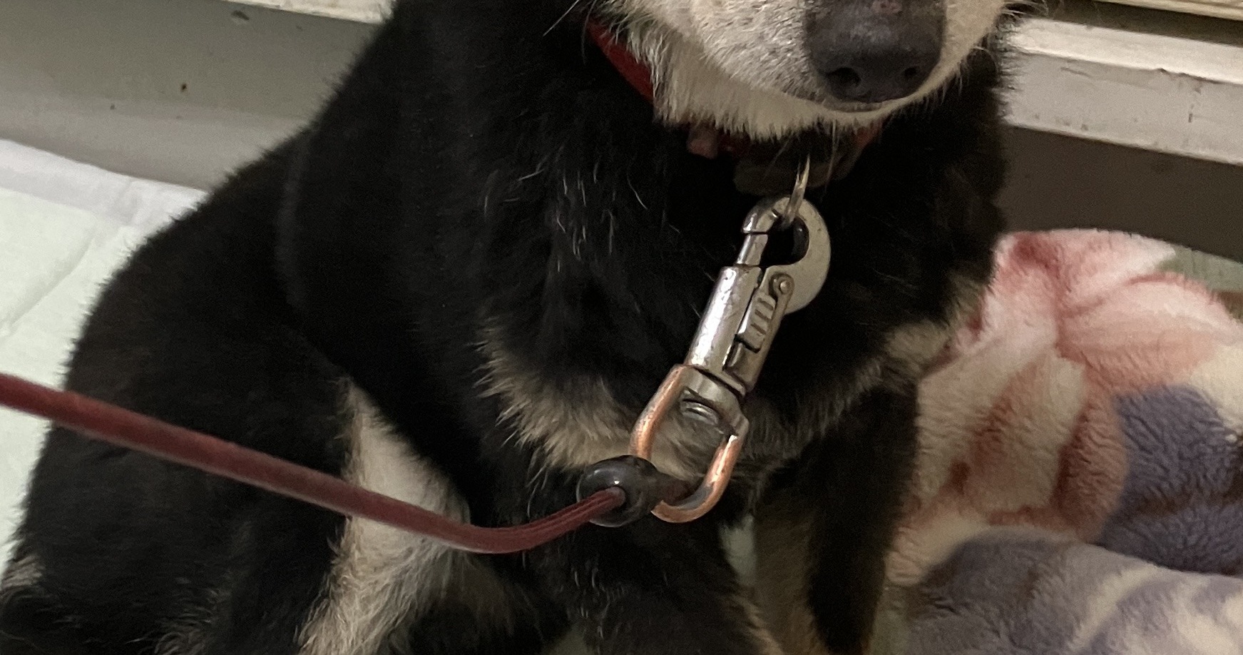 SD25445（敦賀市）