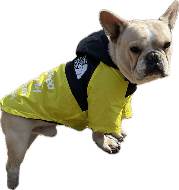 No.8F-3-5　テテくん