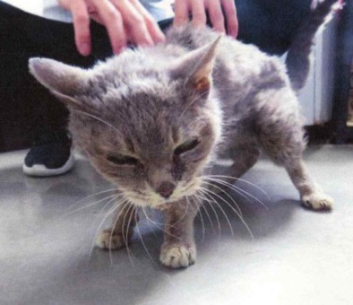 SC26011（敦賀市）