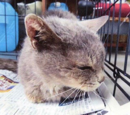 SC26011（敦賀市）