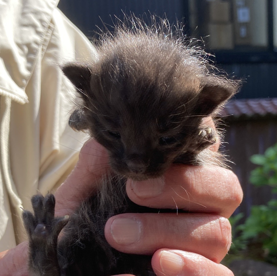 FC26014～26017（福井市）