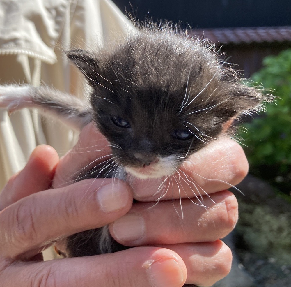 FC26014～26017（福井市）