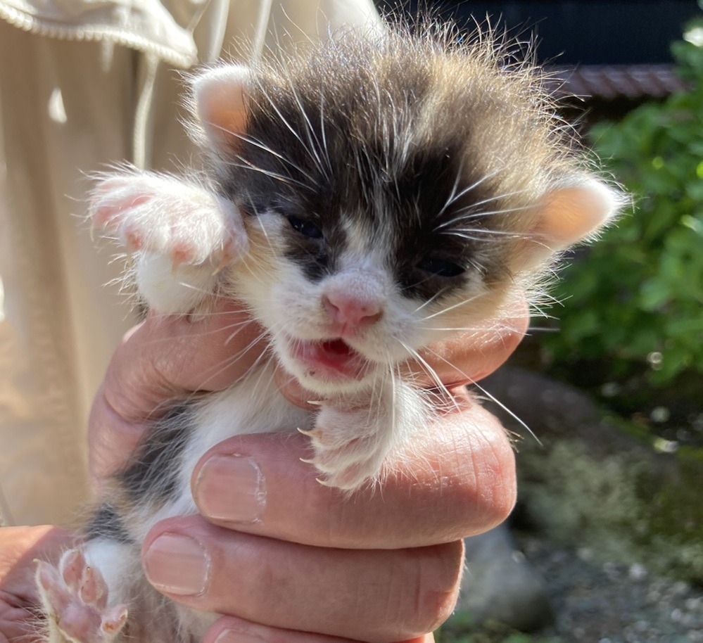 FC26014～26017（福井市）