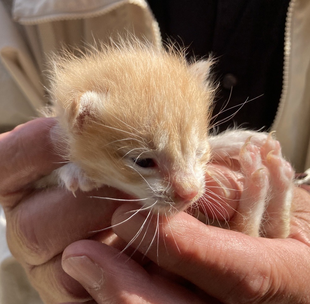 FC26014～26017（福井市）