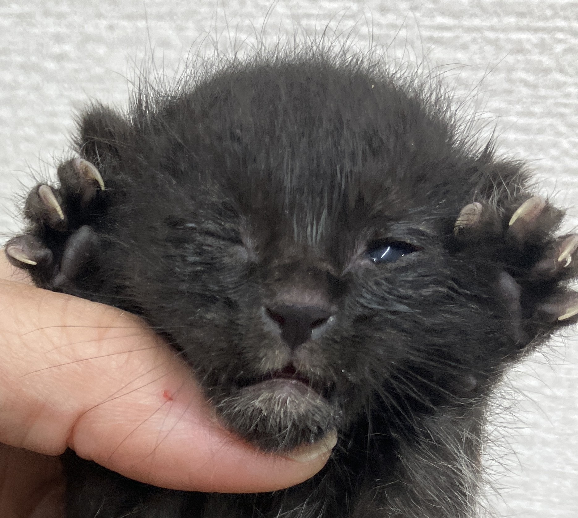 SD26008～26010（敦賀市）