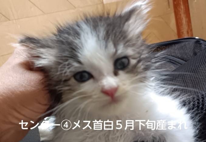 FC26110～26113(豊岡)