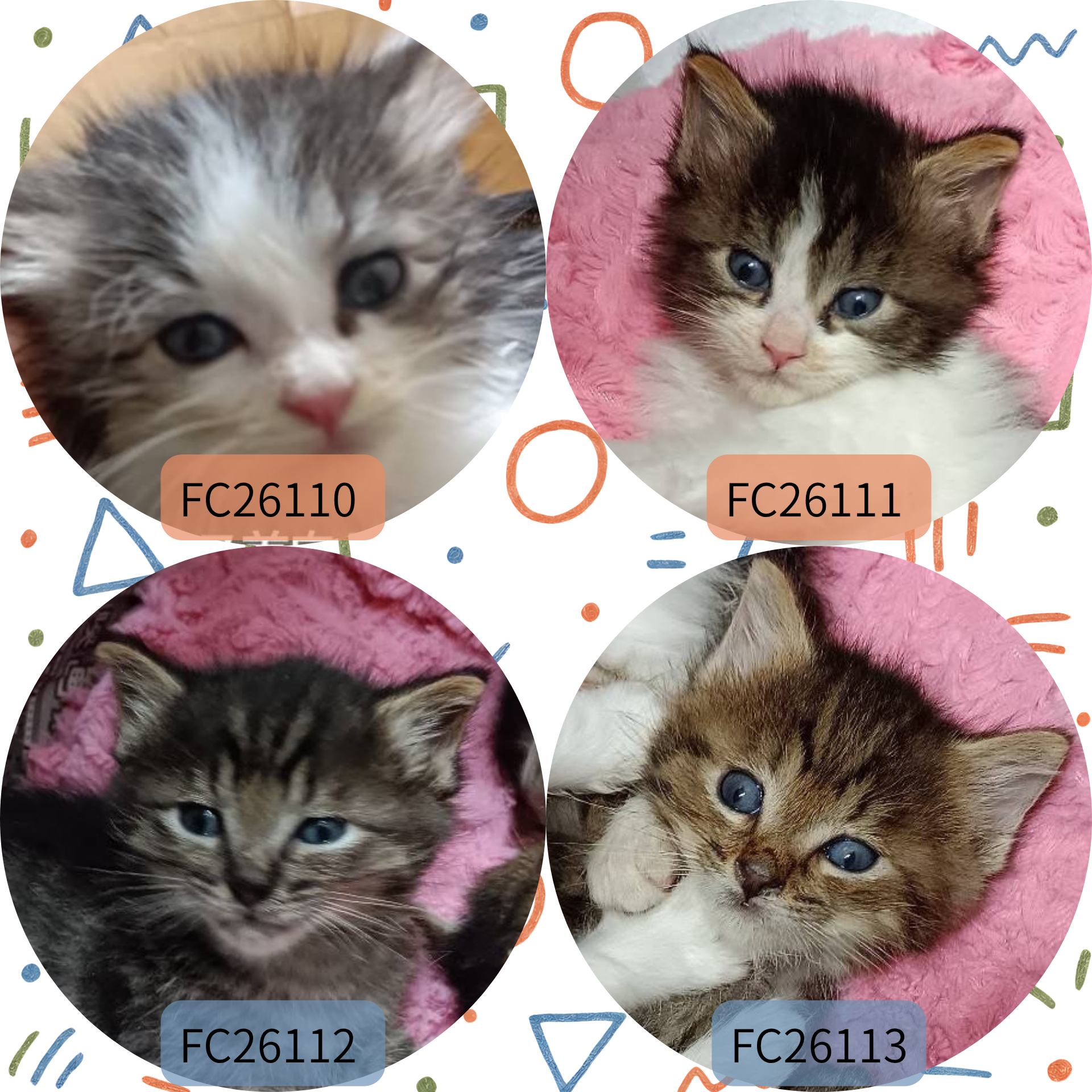 FC26110～26113(豊岡)