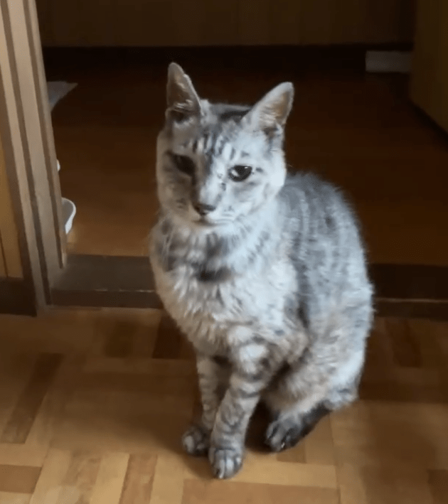 No.8S-7-30