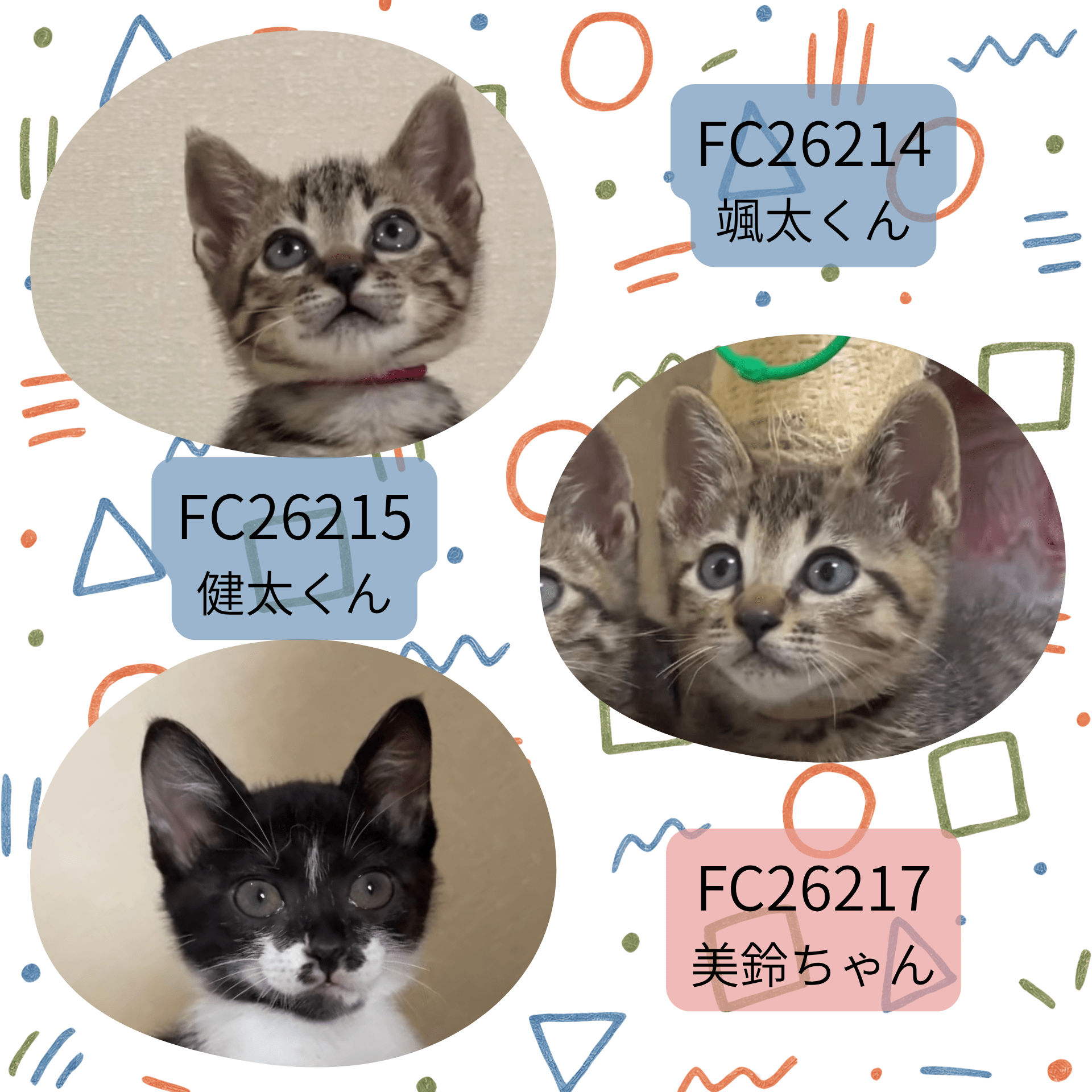 FC26214.26215.26217(城有町)