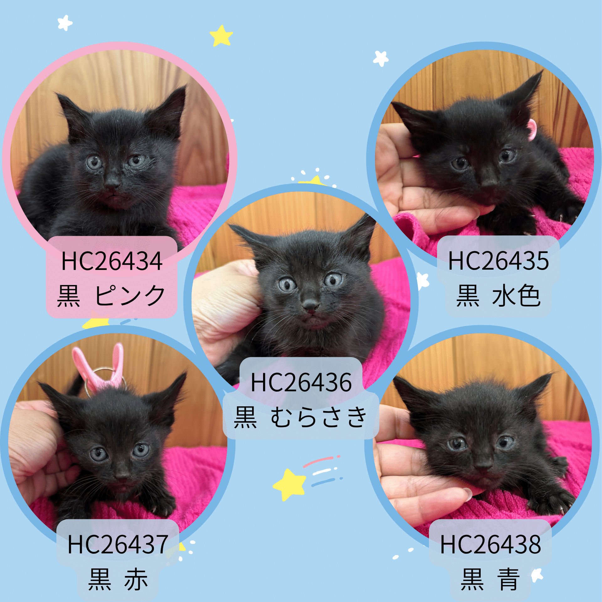 HC26434～438(鯖江市)